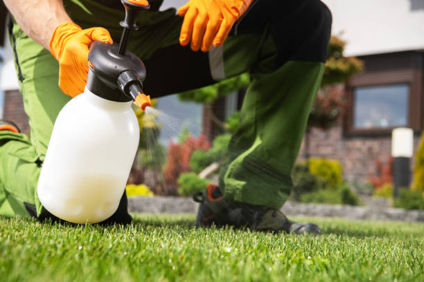 Best Affordable Pest Control Services  in Santa Rosa, TX