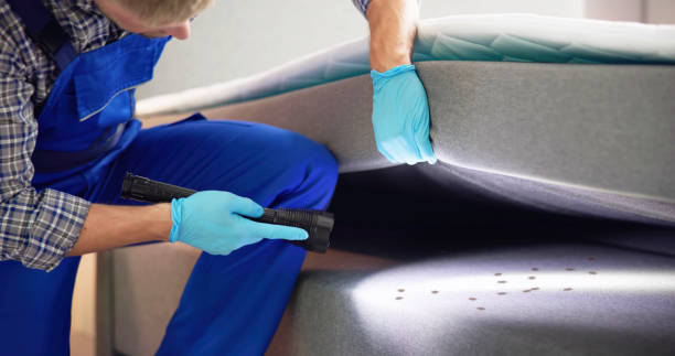 Best Flea Control Services  in Santa Rosa, TX