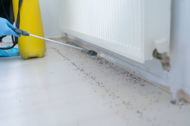 Best Pest Inspection Near Me  in Santa Rosa, TX