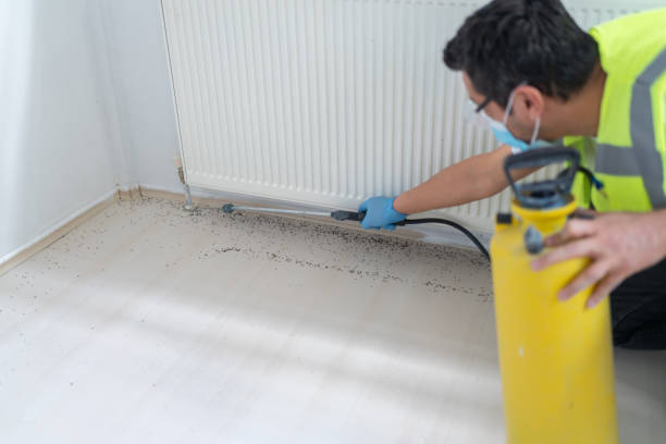 Best Exterminator Services  in Santa Rosa, TX