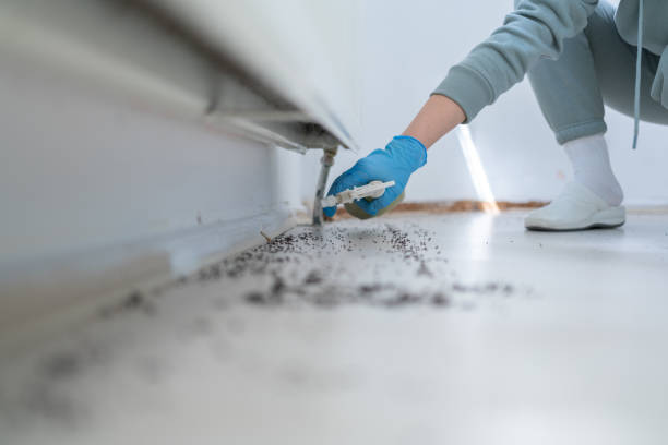 Best Commercial Pest Control Services  in Santa Rosa, TX