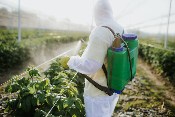 Best Mosquito Control Services  in Santa Rosa, TX